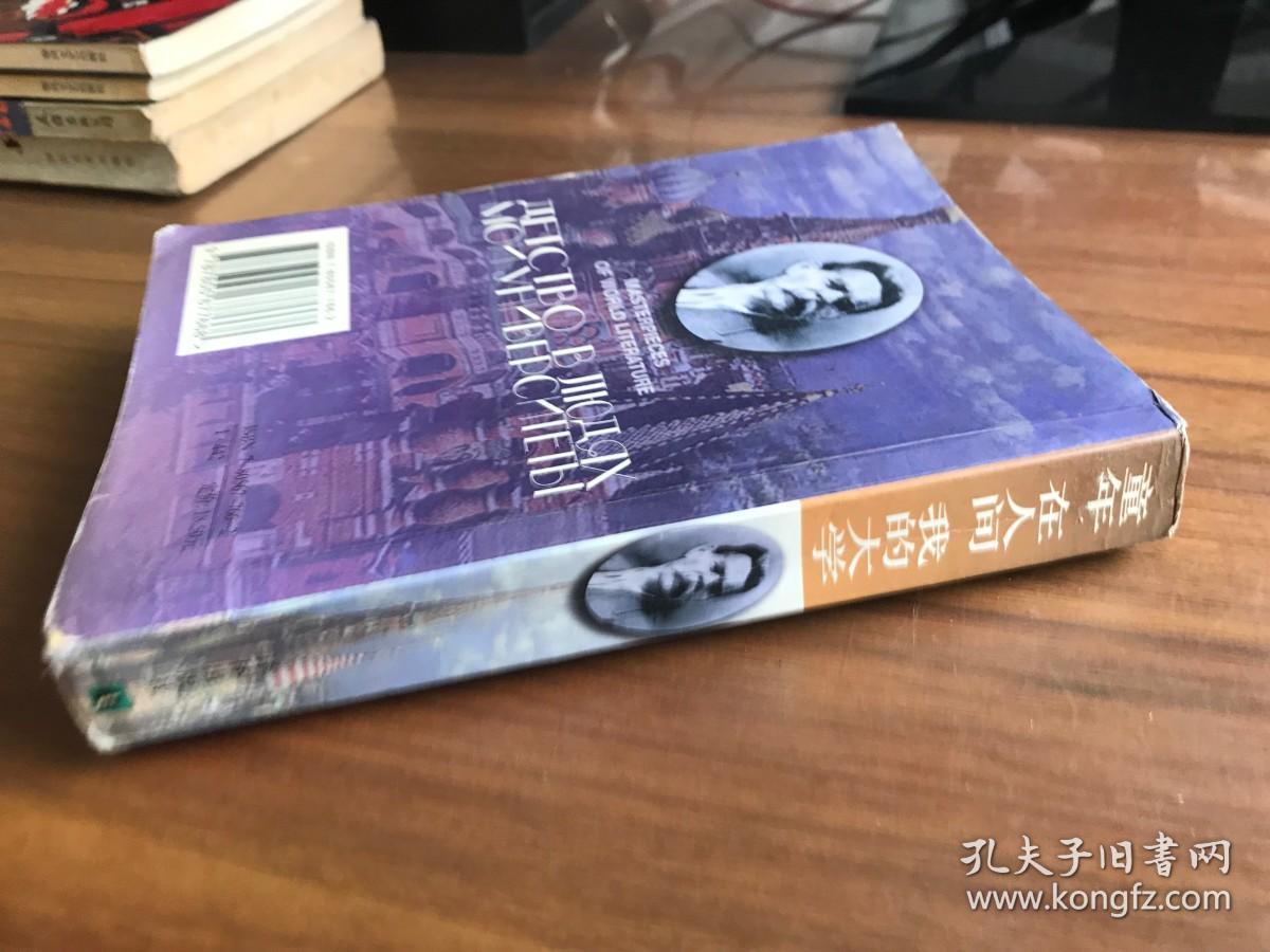 译林世界文学名著（全译本）：童年 在人间 我的大学