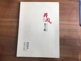 摄影画册：丹凤朝阳公主岭