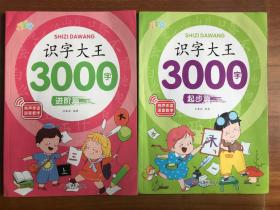 识字大王3000字（起步篇  进阶篇）