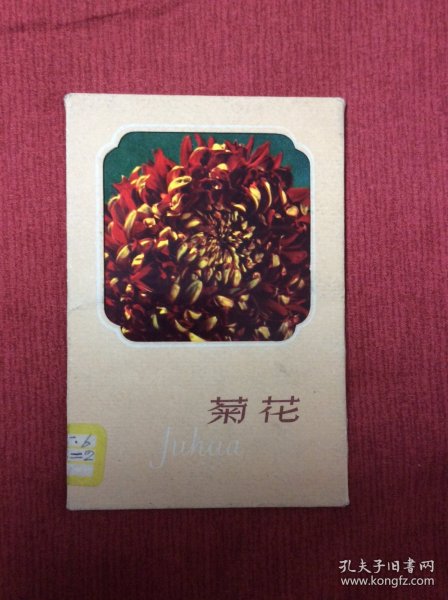 《菊花》明信片，上海人民美术出版社出版