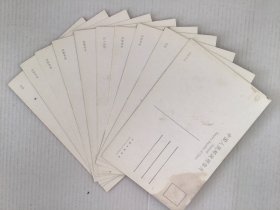 《长春君子兰》明信片，长春市邮政局发行，10张一套全。