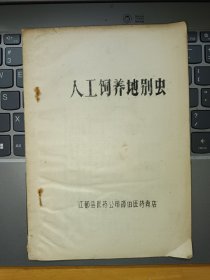 人工饲养地别虫 油印