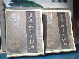 黄帝内经大词典 (上、下册)