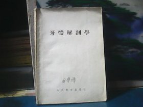 牙体解剖学（大32开）特价