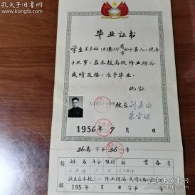 1956年天津市第十七中学毕业证书 (带李文潭黑白照片、有存根) 辽宁省营口市人