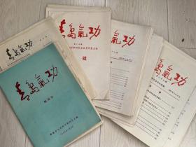 青岛气功 40册合售 【含创刊号、3、5、6、9、10、12、13、15、增刊、17-20、22-24、27-33、35-50、53】