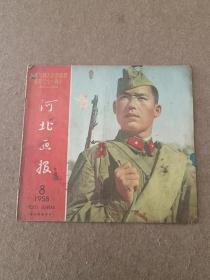 河北画报1958.8