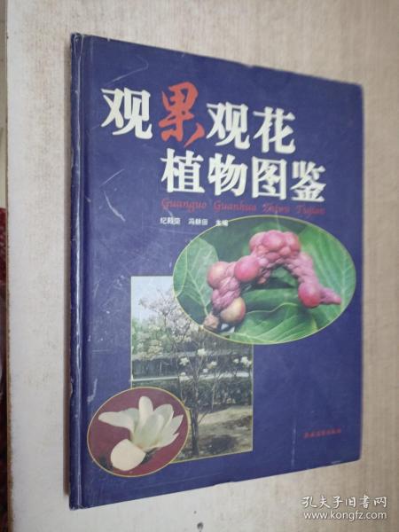 观果观花植物图鉴