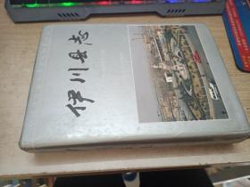 伊川縣志（1991年版）