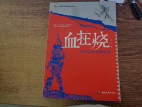 鏖战·国军正面战场抗战系列·血在烧：中日长沙会战纪实   最后一战：中日雪峰山会战纪实(2本)