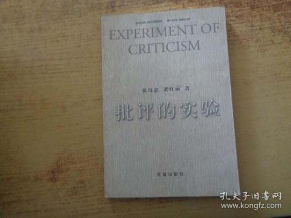 批评的实验