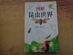圖解昆蟲世界