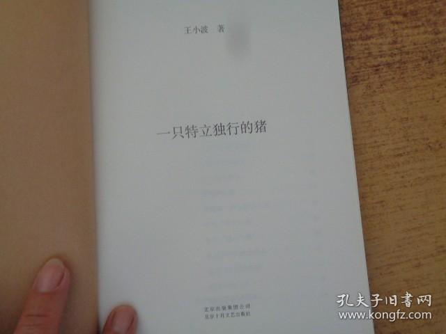 点击查看原图 一只特立独行的猪