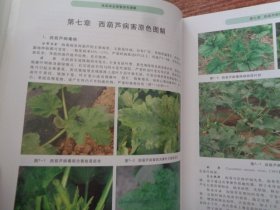 蔬菜病虫草害原色图解