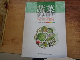 蔬菜病虫草害原色图解