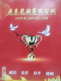 广东龙湖赛鸽公棚 2020年第七届四关鸽王大奖赛