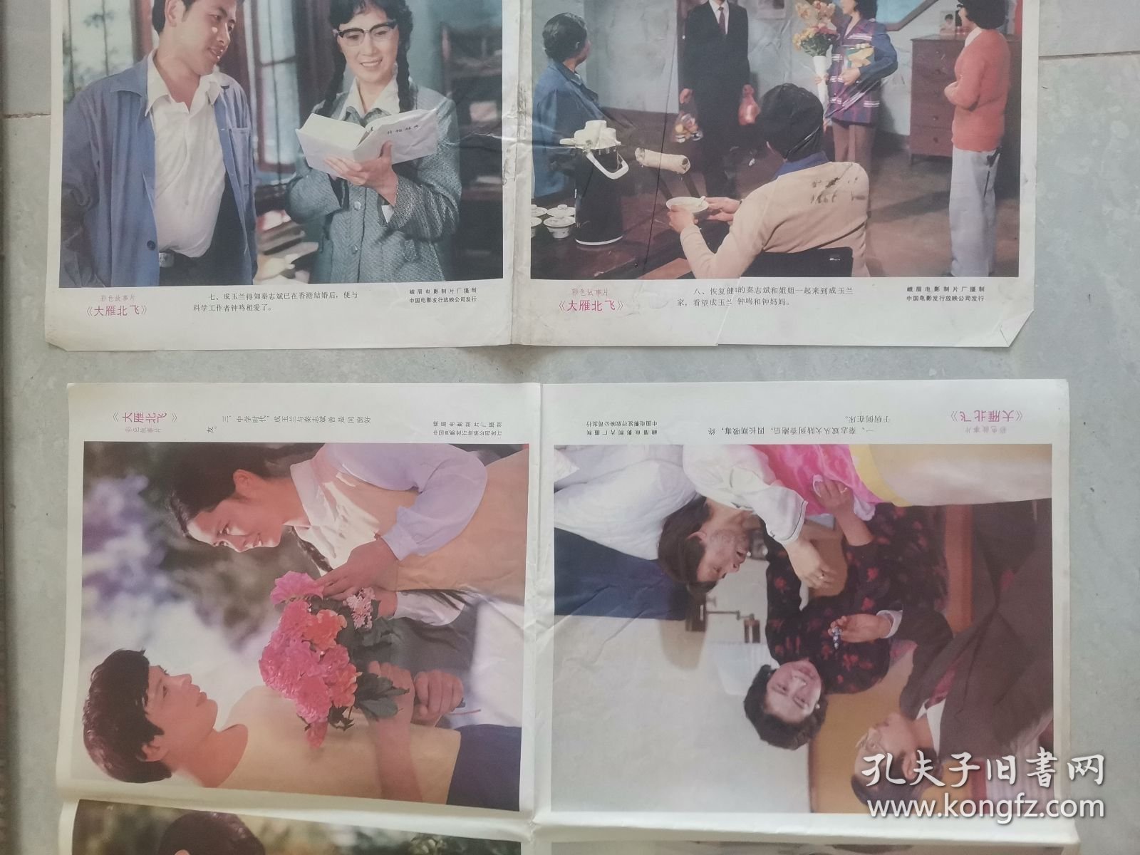 电影海报大雁北飞