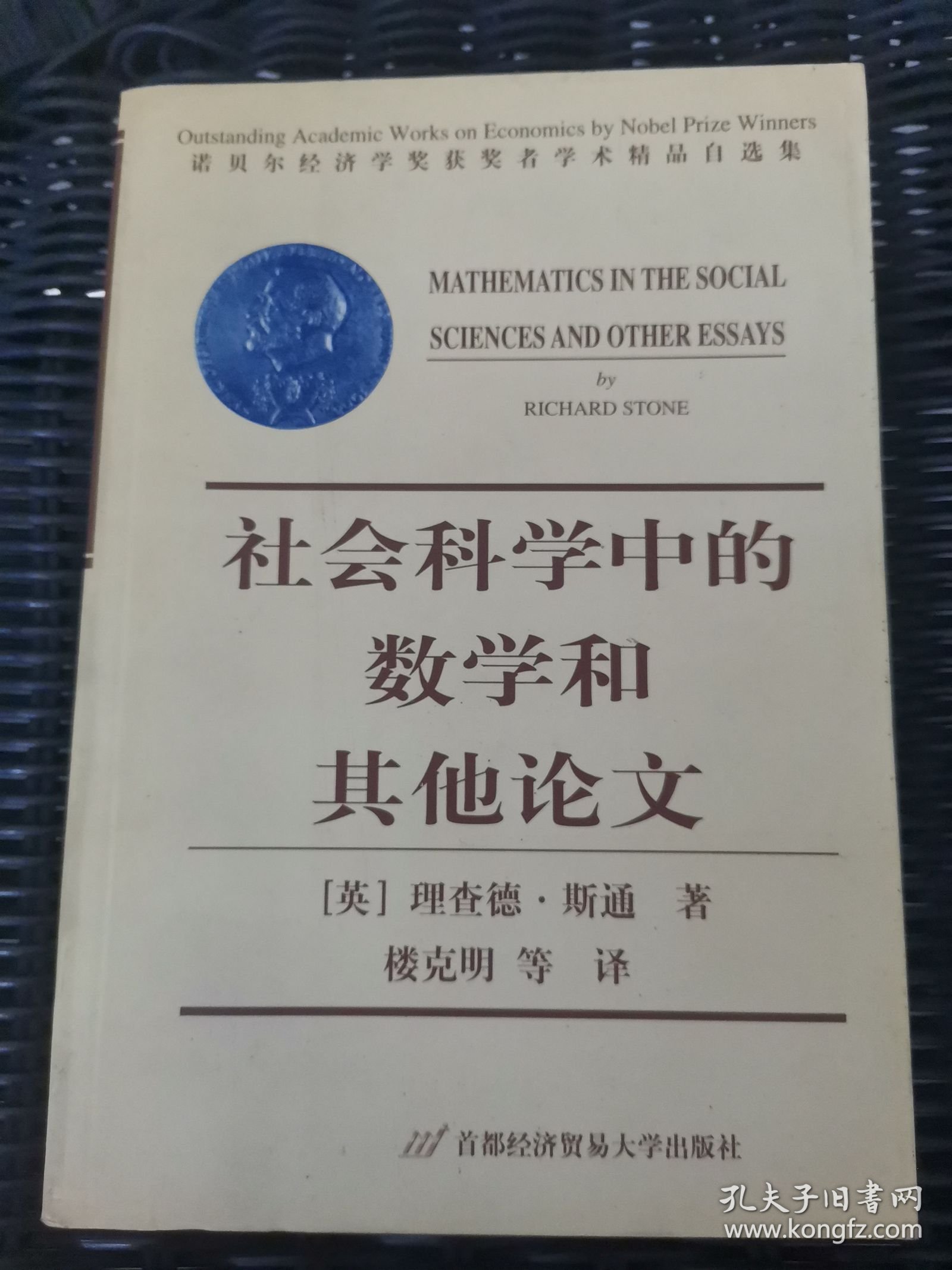 社会科学中的数学和其他论文