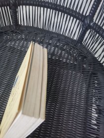 社会科学中的数学和其他论文