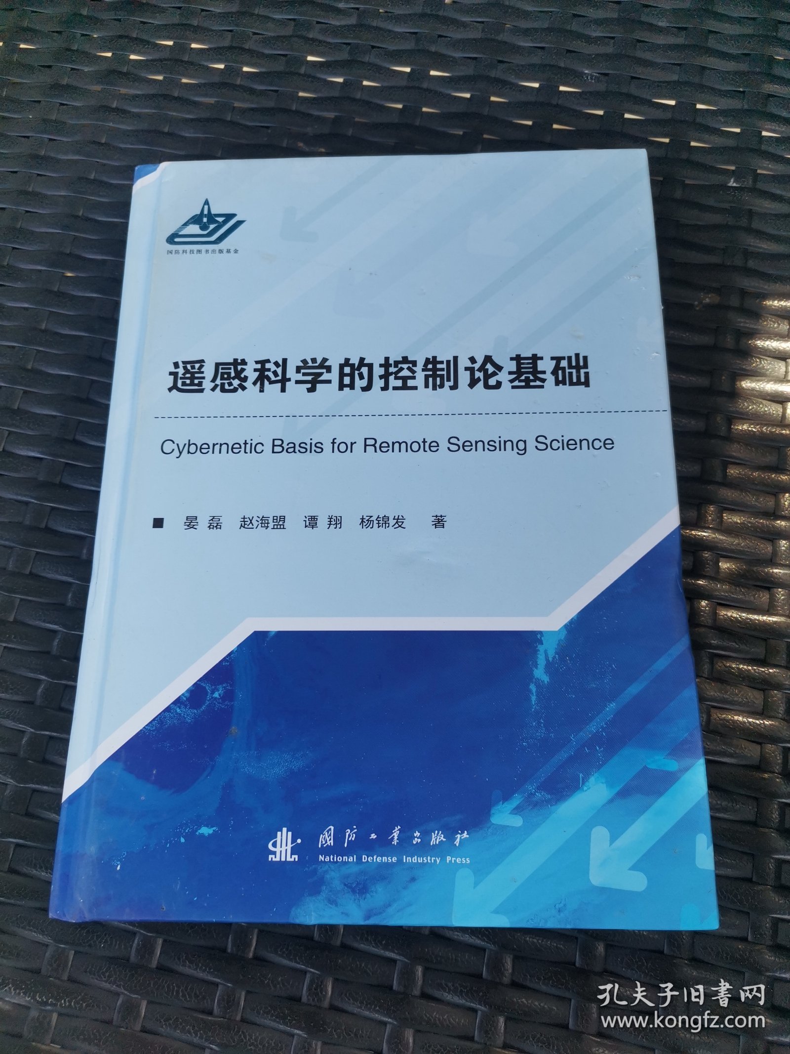 遥感科学的控制论基础