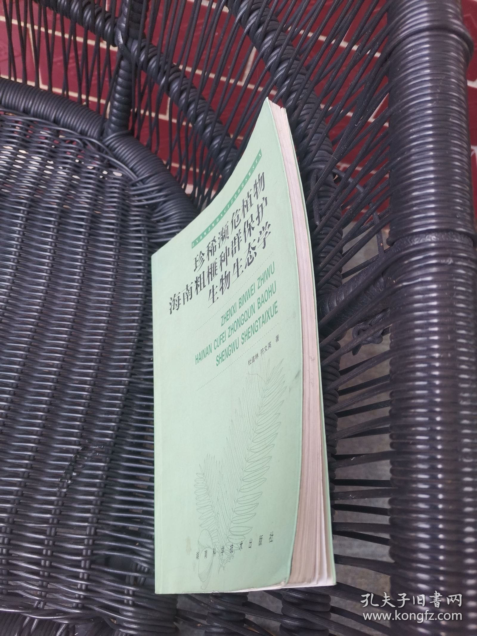 珍稀濒危植物海南精榧种群保护生物生态学