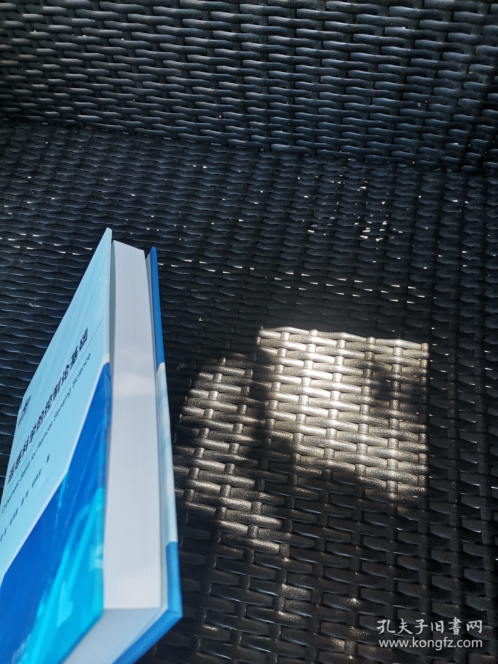 遥感科学的控制论基础