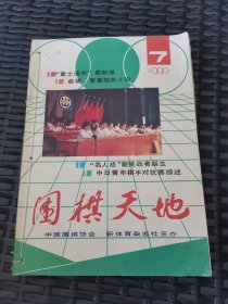 围棋天地 (1990年7-12期  私人合订合卖