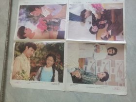 电影海报大雁北飞