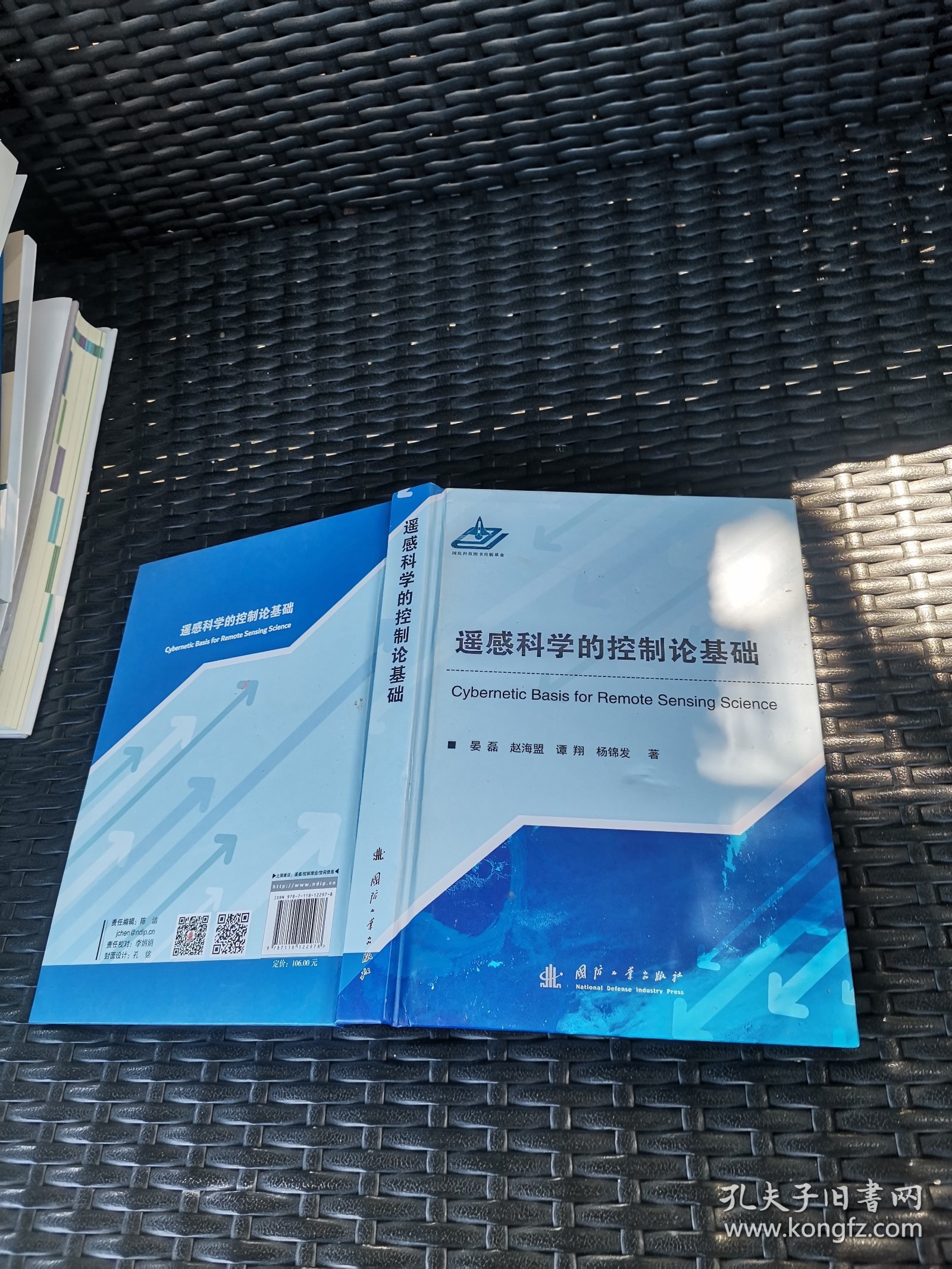 遥感科学的控制论基础