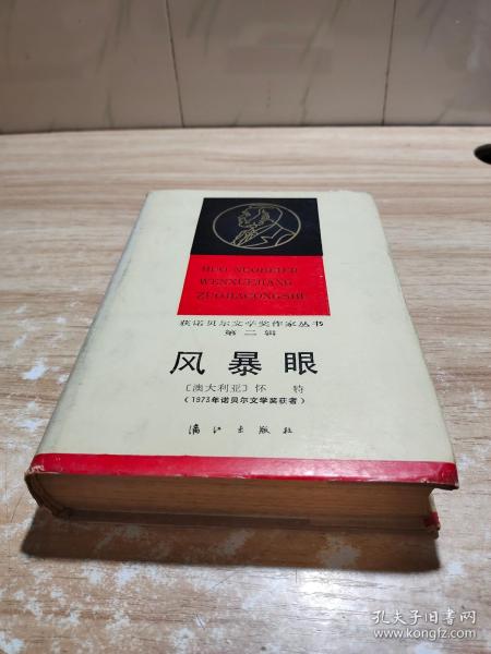 获诺贝尔文学奖作家丛书 风暴眼（1986一版一印 硬精装）