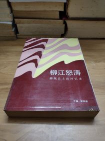 9 柳江怒涛 柳城土改回忆录