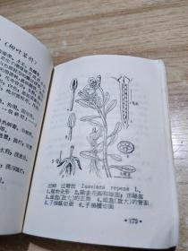 广西民间常用中草药手册  第一册      图