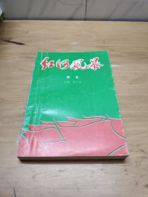 红河风暴 续集（谨以此书纪念中国人民解放军桂中支队来宾县大队成立50周年献礼）1949-1999