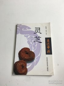 灵芝（走进中药丛书第一辑）