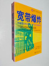 宽带爆炸：听前沿思想家预见一个充分互动的世界