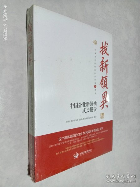 拔新领异 中国企业新领袖成长报告