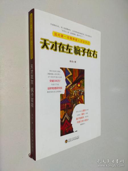 天才在左 疯子在右：国内第一本精神病人访谈手记