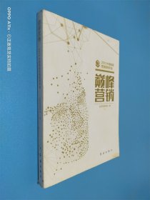 巅峰营销：2013 中国电商营销案例年鉴