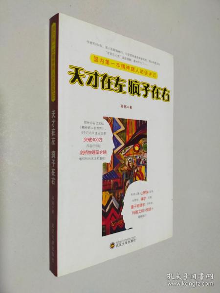 天才在左 疯子在右：国内第一本精神病人访谈手记