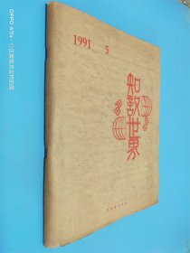 知识世界 1991年 第5期  盲文版