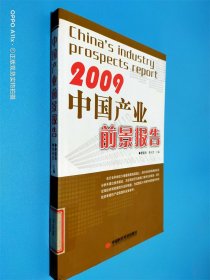 中国产业前景报告2009