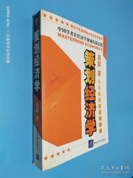 策划经济学:中国学者在经济学领域的新思想