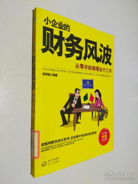 从零开始搞懂会计工作：小企业的财务风波