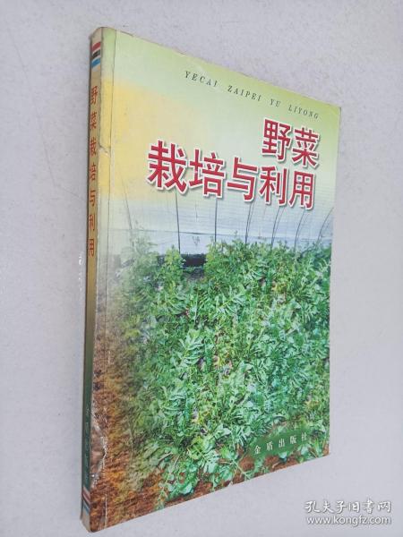 野菜栽培与利用