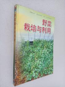 野菜栽培与利用