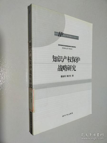 知识产权保护战略研究