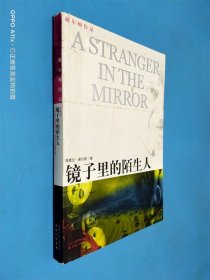 镜子里的陌生人