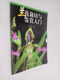 兰花栽培与鉴赏入门