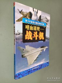 嗜血雄鹰——战斗机