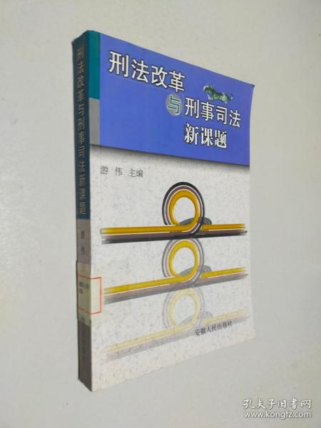 刑法改革与刑事司法新课题